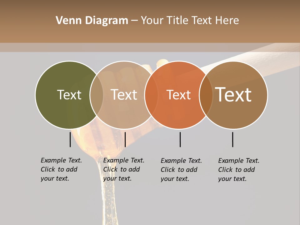 Still Life Square Transparent PowerPoint Template