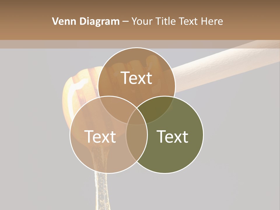 Still Life Square Transparent PowerPoint Template