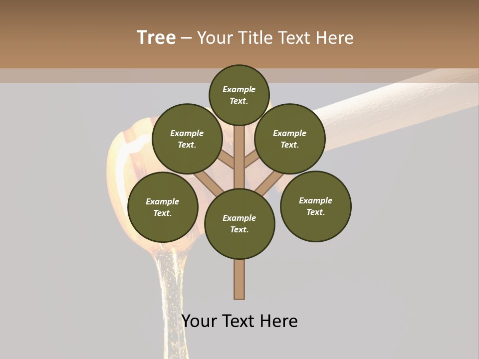 Still Life Square Transparent PowerPoint Template