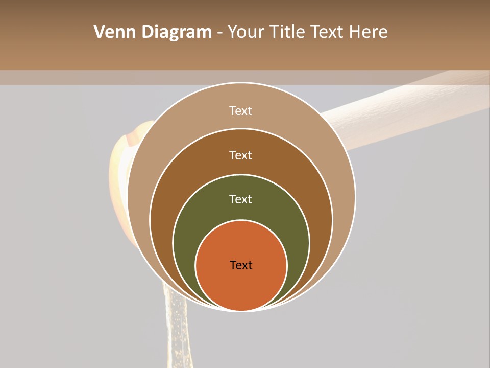 Still Life Square Transparent PowerPoint Template