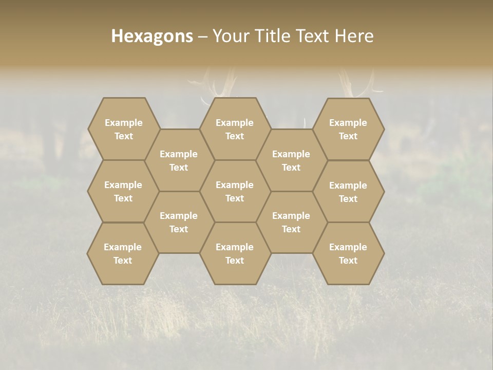 Antler Woods Holland PowerPoint Template