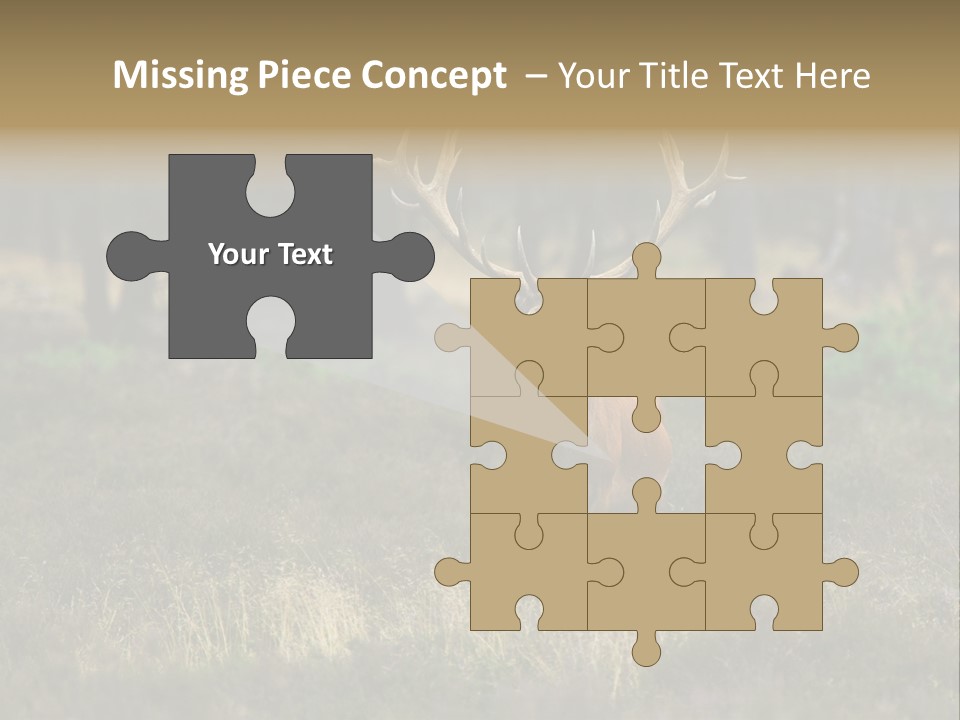 Antler Woods Holland PowerPoint Template