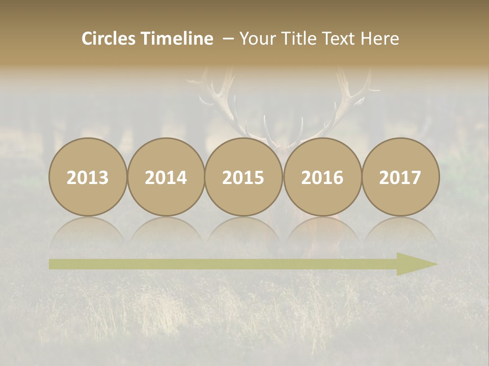 Antler Woods Holland PowerPoint Template