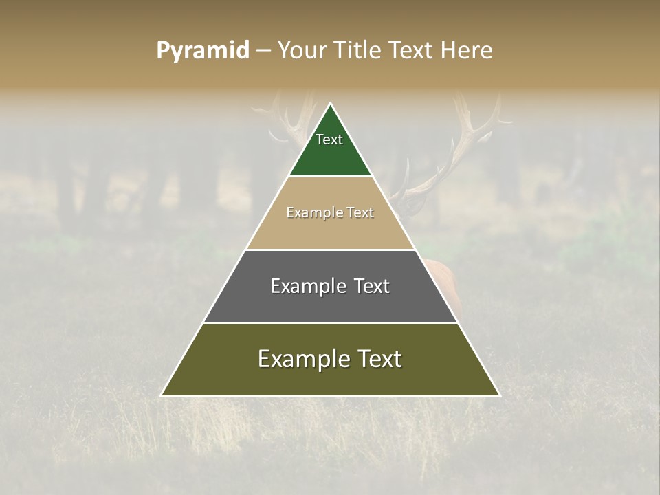 Antler Woods Holland PowerPoint Template