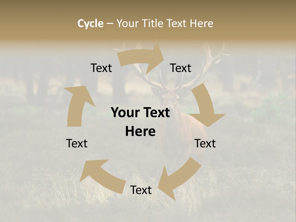 Antler Woods Holland PowerPoint Template