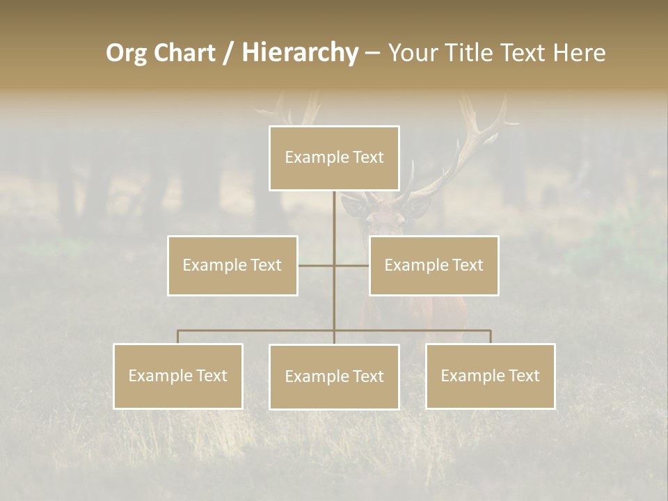 Antler Woods Holland PowerPoint Template