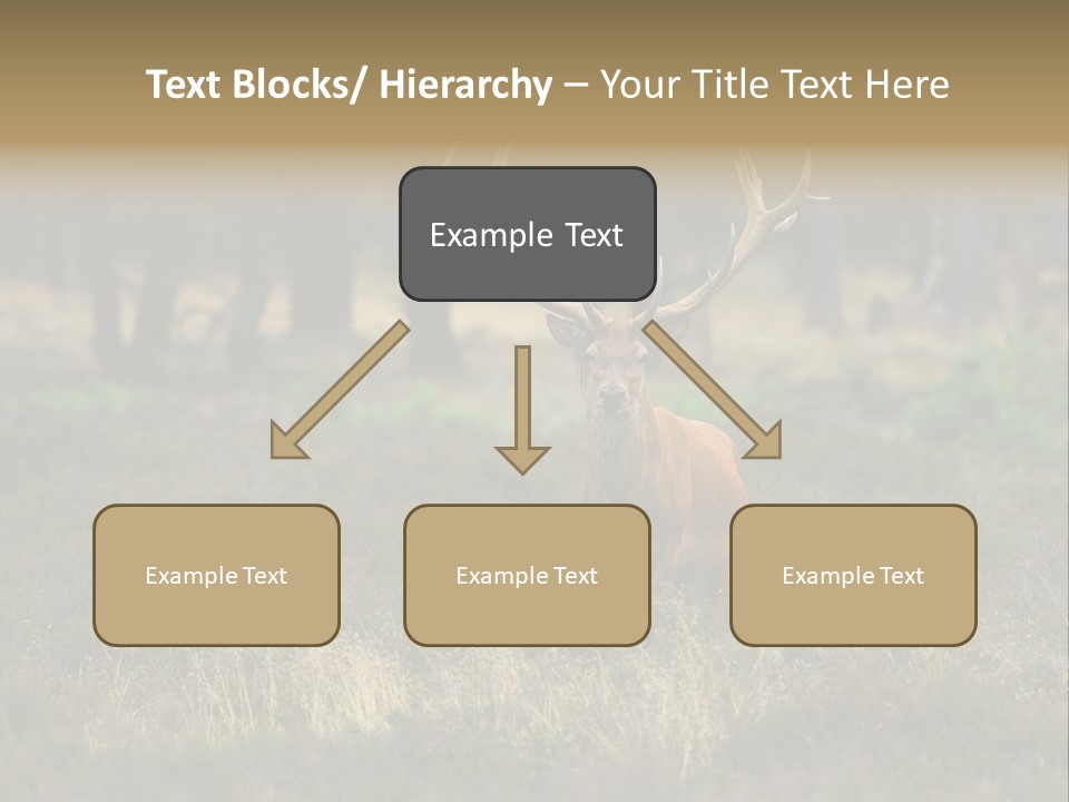 Antler Woods Holland PowerPoint Template