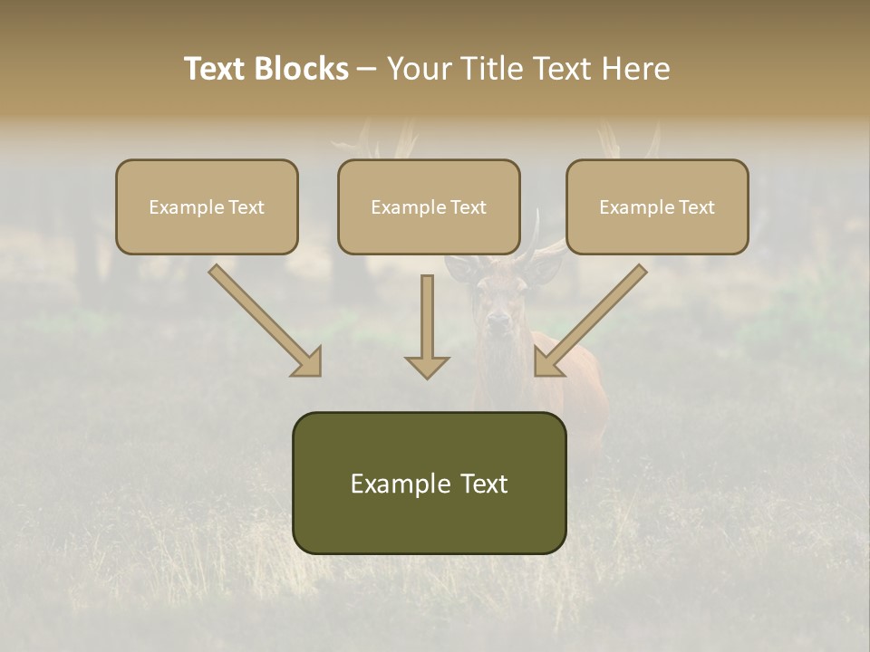 Antler Woods Holland PowerPoint Template