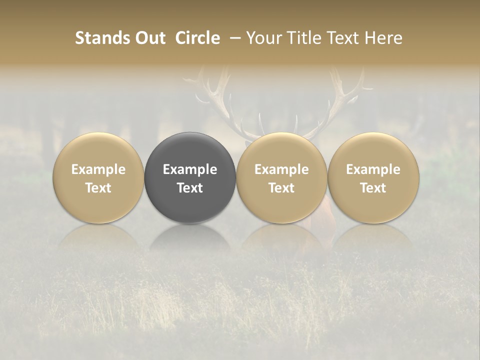 Antler Woods Holland PowerPoint Template