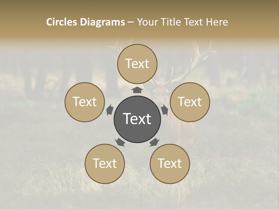 Antler Woods Holland PowerPoint Template