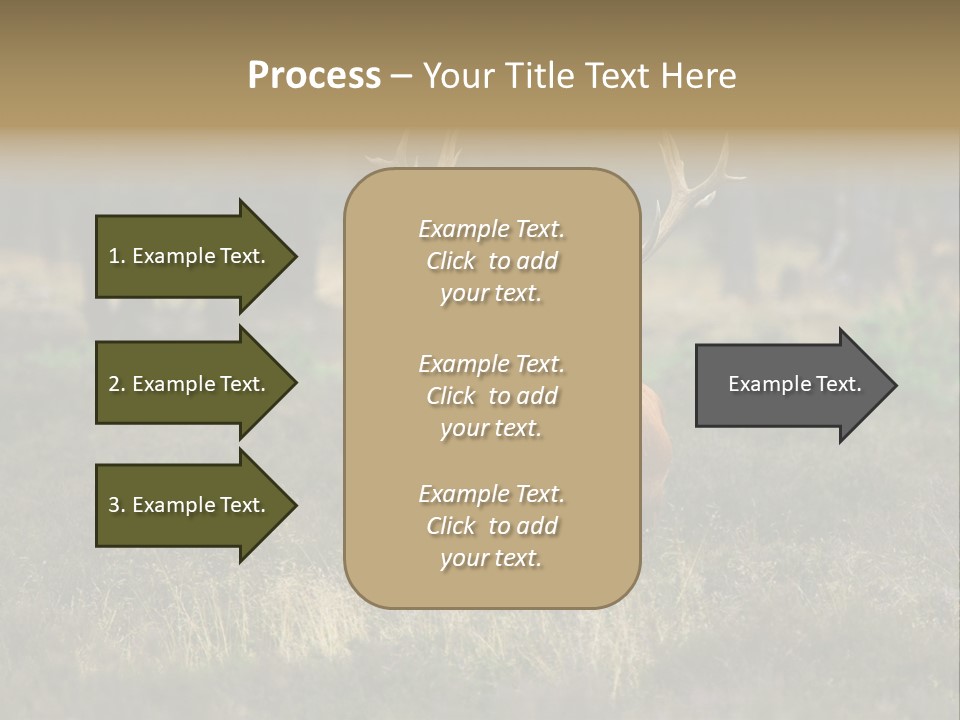 Antler Woods Holland PowerPoint Template