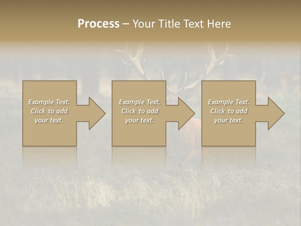 Antler Woods Holland PowerPoint Template
