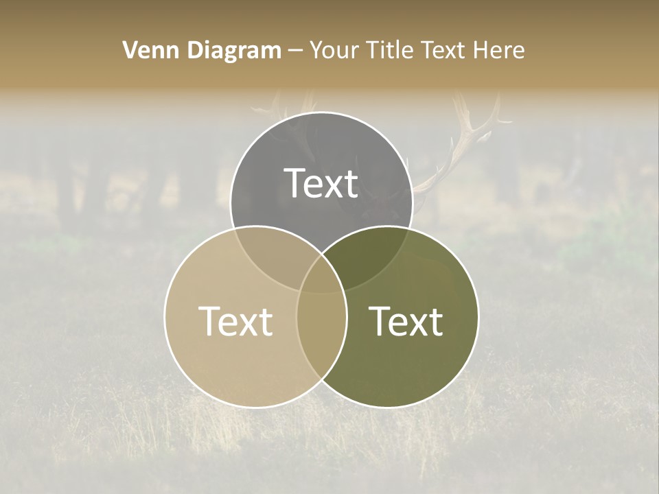 Antler Woods Holland PowerPoint Template