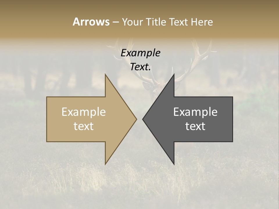 Antler Woods Holland PowerPoint Template