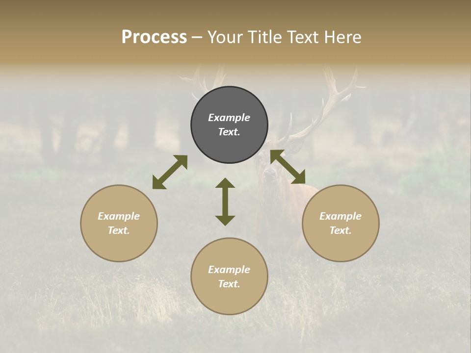 Antler Woods Holland PowerPoint Template