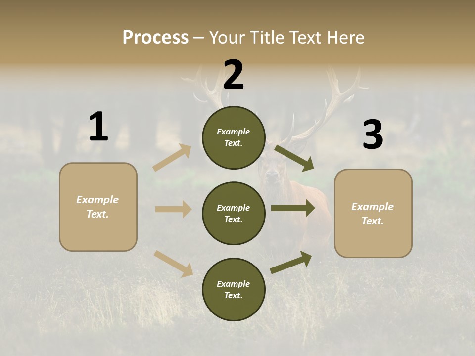 Antler Woods Holland PowerPoint Template