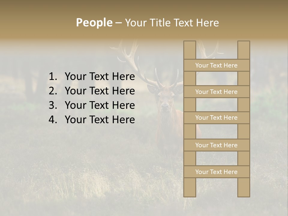 Antler Woods Holland PowerPoint Template