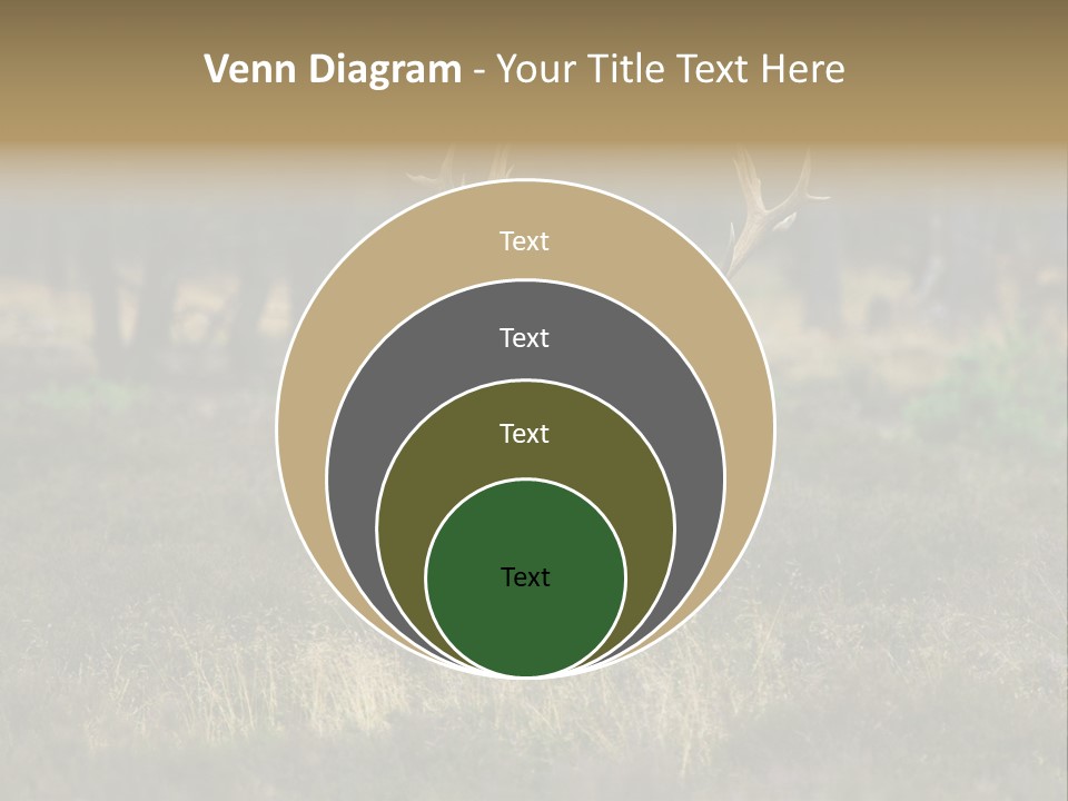 Antler Woods Holland PowerPoint Template