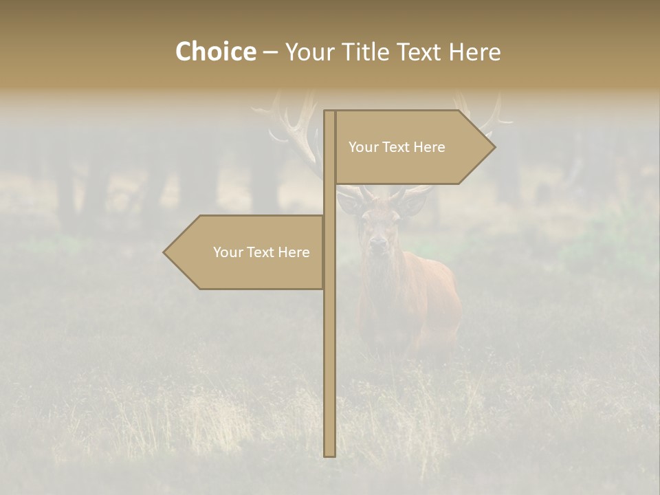 Antler Woods Holland PowerPoint Template