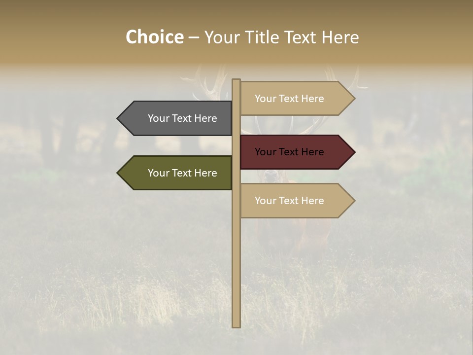 Antler Woods Holland PowerPoint Template