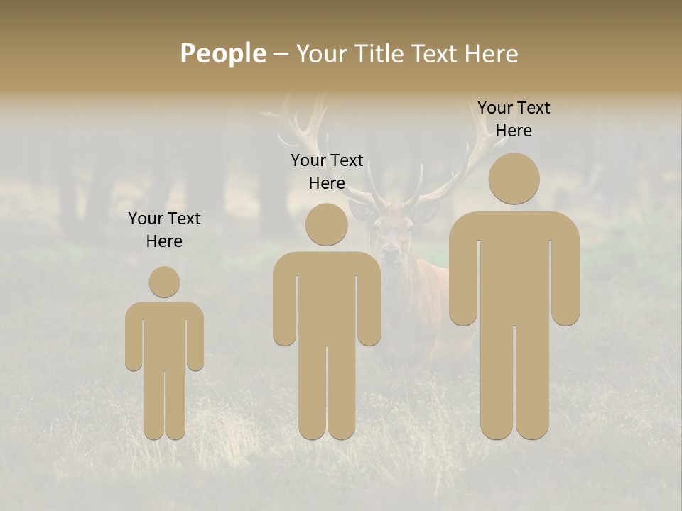 Antler Woods Holland PowerPoint Template