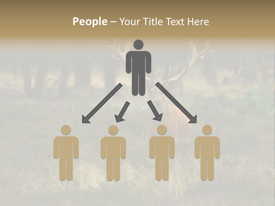 Antler Woods Holland PowerPoint Template