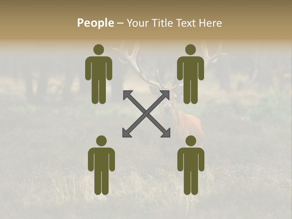 Antler Woods Holland PowerPoint Template