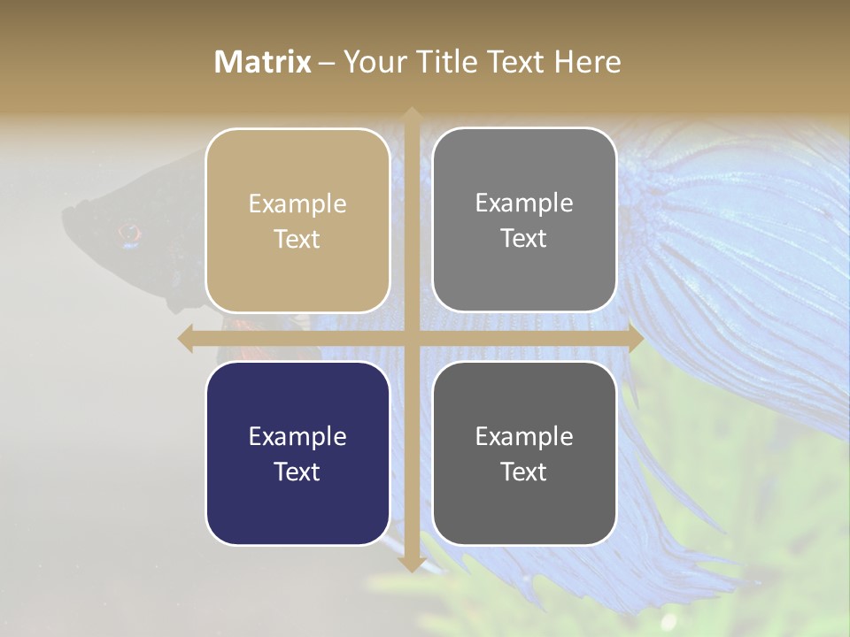 Fight Sea Vertebrate PowerPoint Template