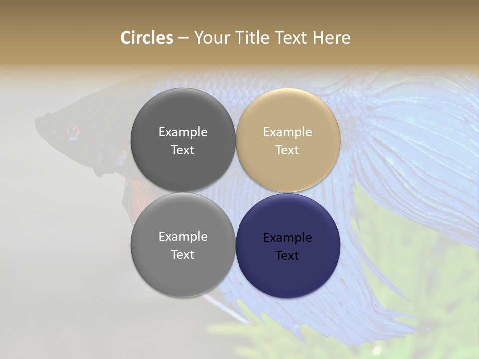 Fight Sea Vertebrate PowerPoint Template