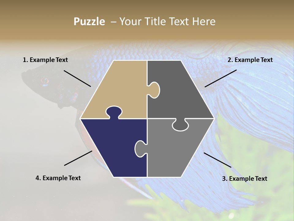 Fight Sea Vertebrate PowerPoint Template