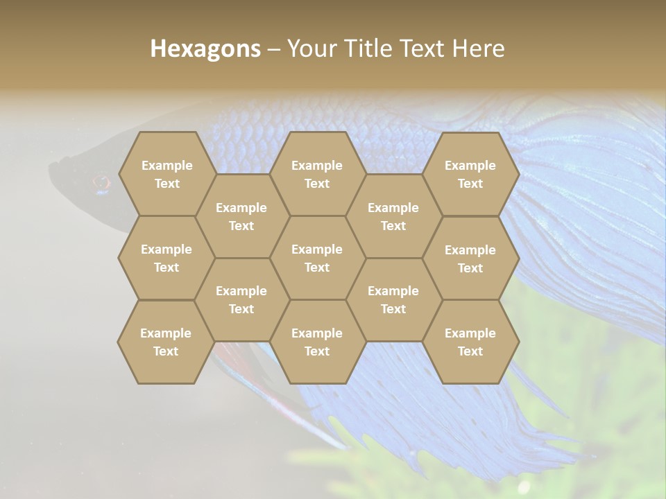 Fight Sea Vertebrate PowerPoint Template