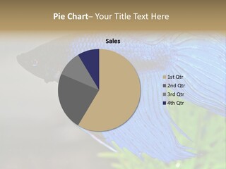 Fight Sea Vertebrate PowerPoint Template