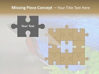 Fight Sea Vertebrate PowerPoint Template