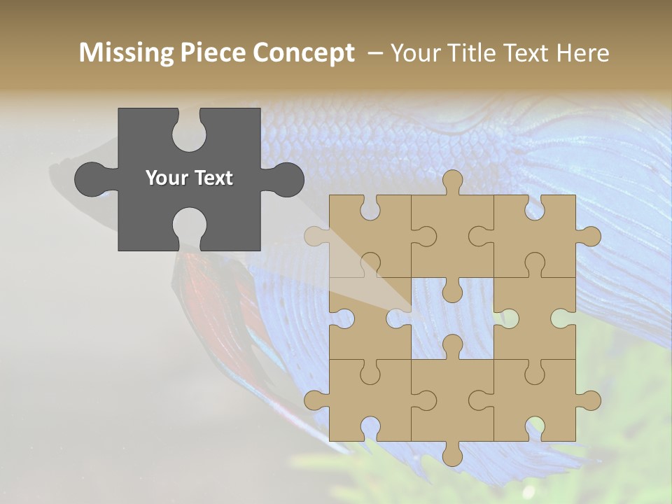 Fight Sea Vertebrate PowerPoint Template