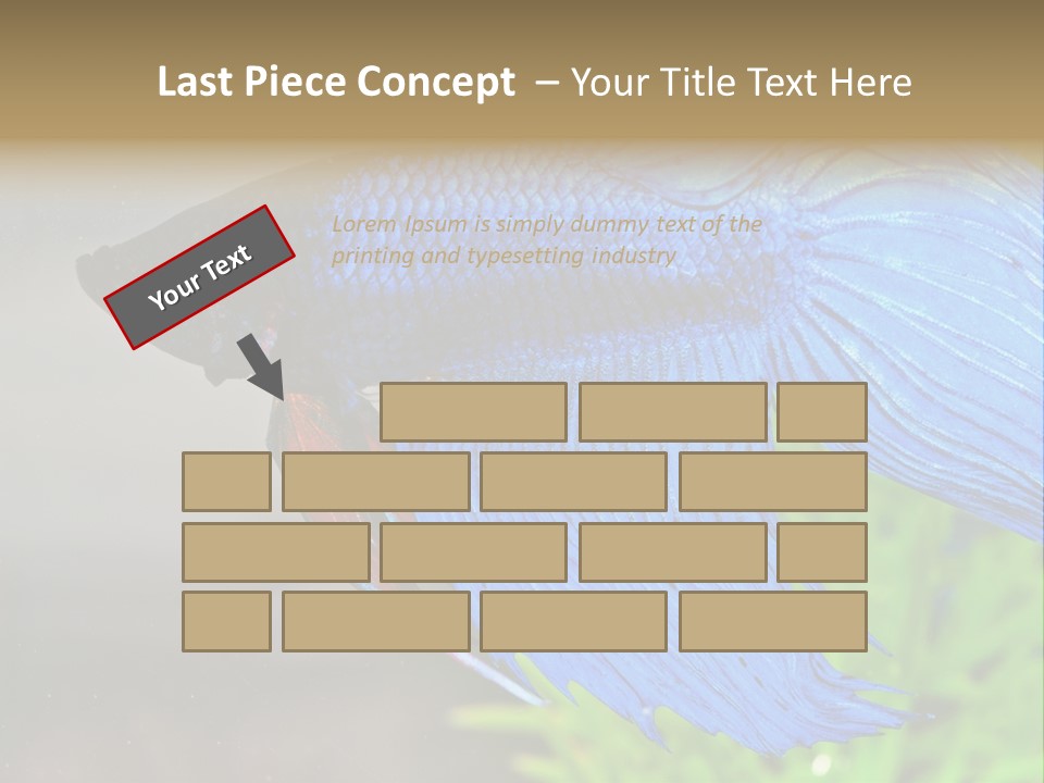Fight Sea Vertebrate PowerPoint Template