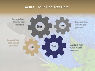 Fight Sea Vertebrate PowerPoint Template