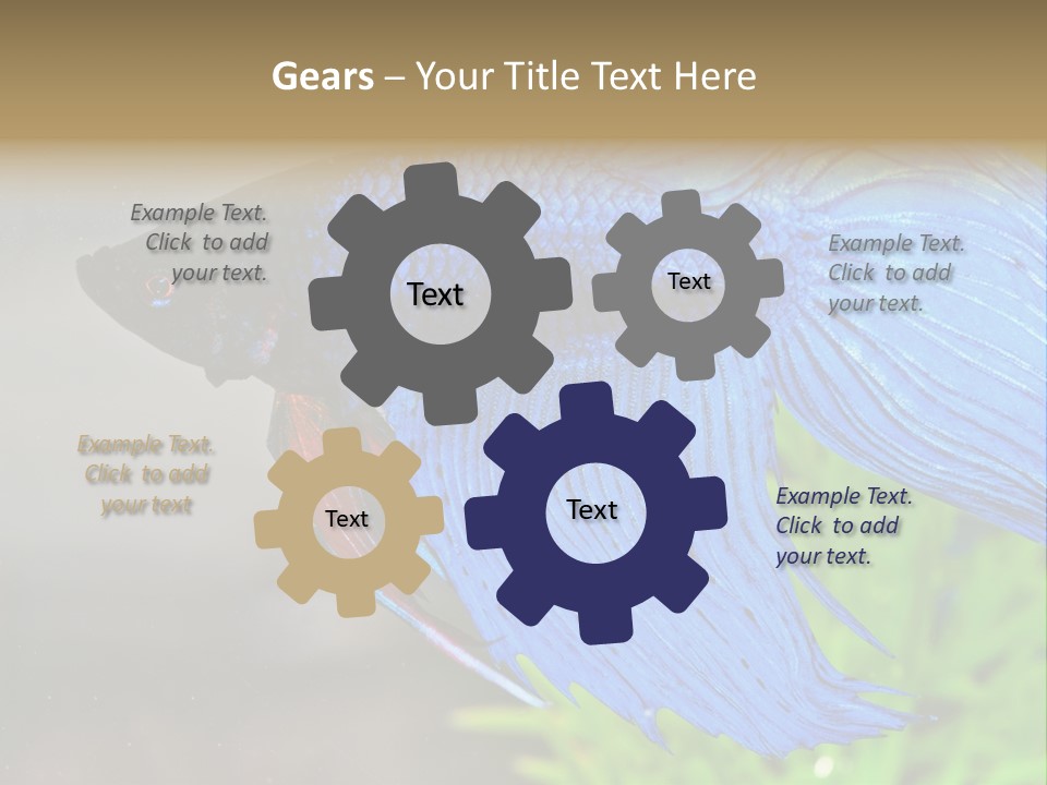 Fight Sea Vertebrate PowerPoint Template