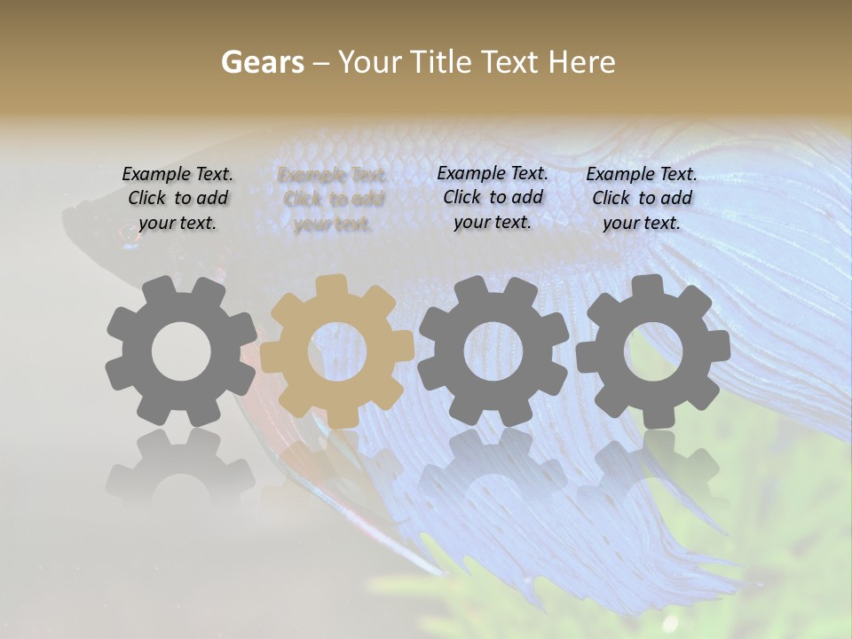 Fight Sea Vertebrate PowerPoint Template