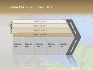 Fight Sea Vertebrate PowerPoint Template