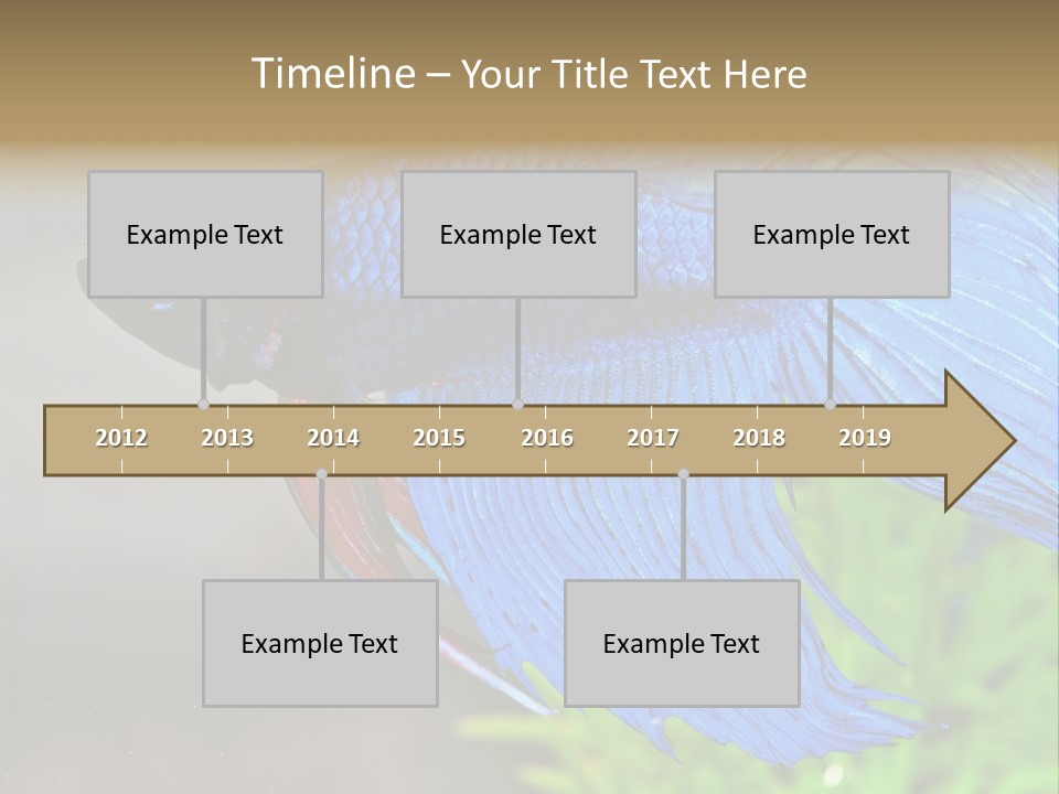 Fight Sea Vertebrate PowerPoint Template