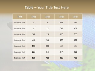 Fight Sea Vertebrate PowerPoint Template
