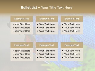 Fight Sea Vertebrate PowerPoint Template