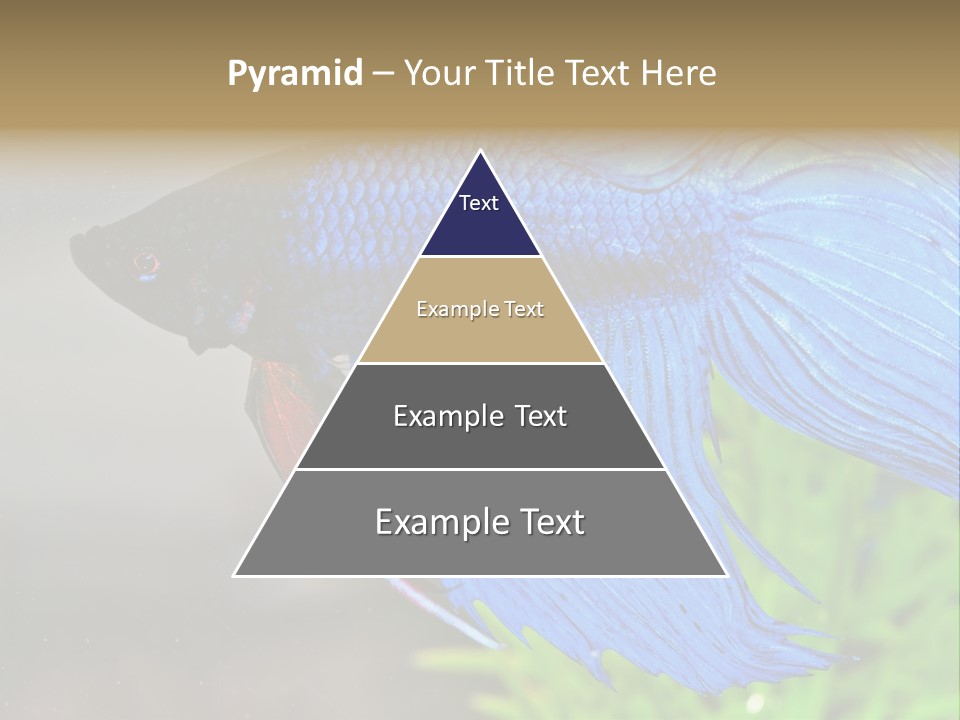 Fight Sea Vertebrate PowerPoint Template