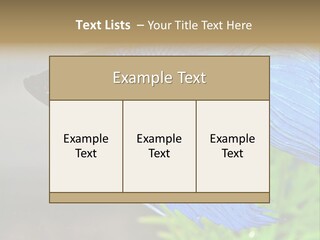 Fight Sea Vertebrate PowerPoint Template