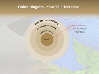 Fight Sea Vertebrate PowerPoint Template