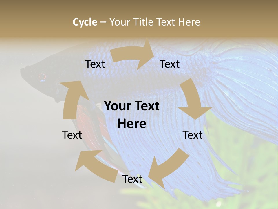 Fight Sea Vertebrate PowerPoint Template