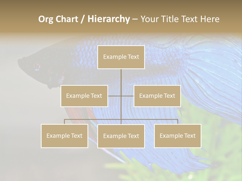 Fight Sea Vertebrate PowerPoint Template