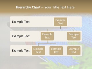 Fight Sea Vertebrate PowerPoint Template
