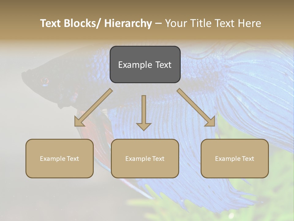 Fight Sea Vertebrate PowerPoint Template