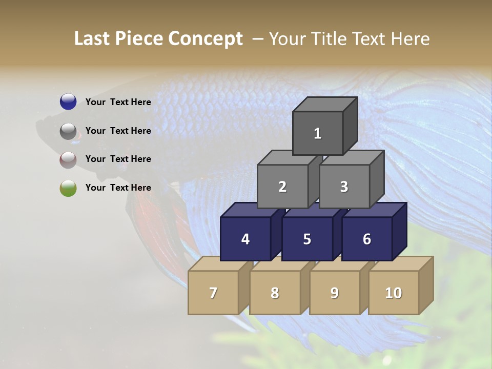 Fight Sea Vertebrate PowerPoint Template